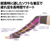 【サニースキニー】ハッピーレギー