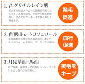 
											【ハリウッドアイズ】グラマリッチトリートメント
											